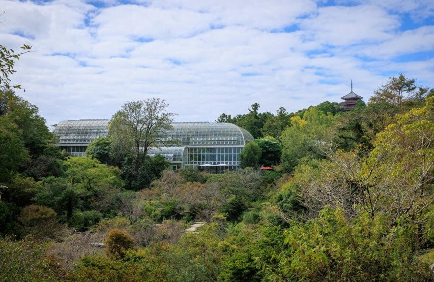 The Kochi Prefectural Makino Botanical Garden, Kochi, Japan, Japan